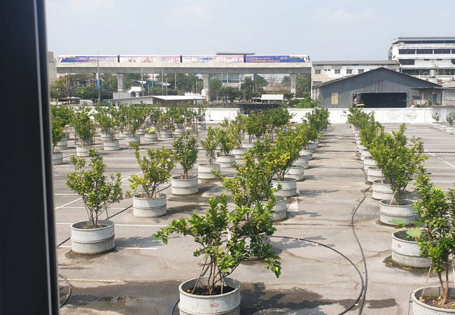 ขายทาวน์เฮ้าส์-หมู่บ้านธารทองนิเวศน์-ติดถนนพหลโยธิน-เขตบางเขน-กรุงเทพมหานคร