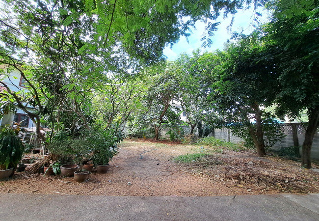 ขายที่ดิน-ซอยลาดพร้าว-109-ถนนลาดพร้าว-แขวงคลองจั่น-เขตบางกะปิ-กรุงเทพมหานคร