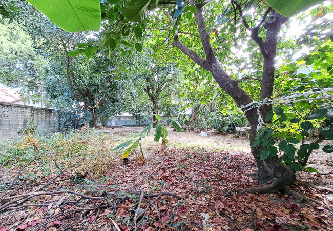 ขายที่ดิน-ซอยลาดพร้าว-109-ถนนลาดพร้าว-แขวงคลองจั่น-เขตบางกะปิ-กรุงเทพมหานคร