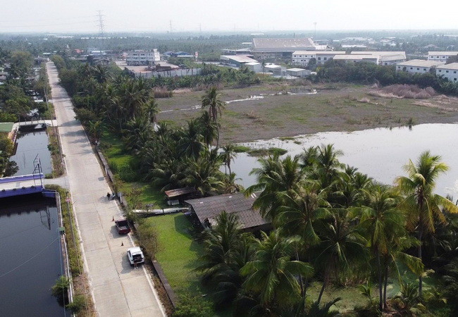 ขายที่ดิน-ตำบลหลักสาม-อำเภอบ้านแพ้ว-สมุทรสาคร-ถนนบ้านแพ้ว