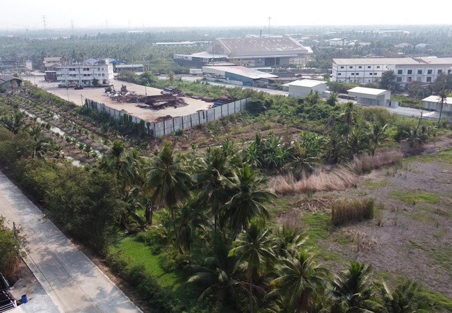 ขายที่ดิน-ตำบลหลักสาม-อำเภอบ้านแพ้ว-สมุทรสาคร-ถนนบ้านแพ้ว