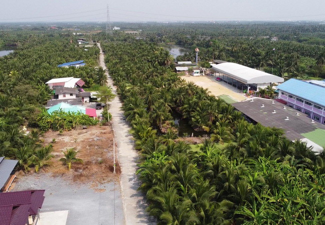 ขายที่ดิน-ตำบลหลักสาม-อำเภอบ้านแพ้ว-สมุทรสาคร-ถนนบ้านแพ้ว