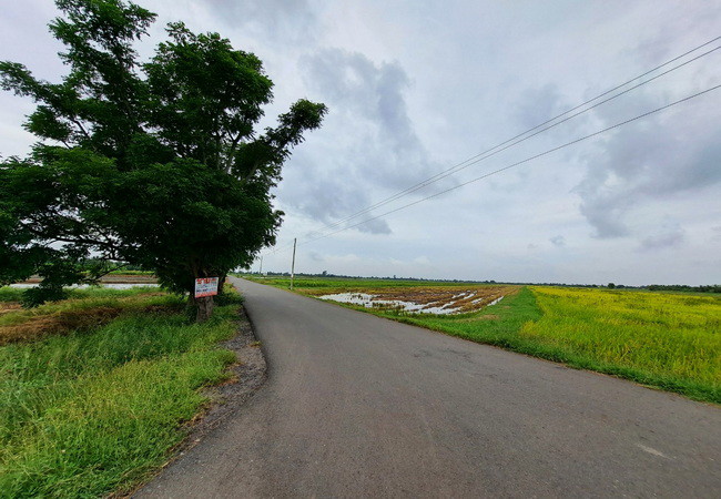 ขายที่ดิน-บึงเทพยา-ตำบลบางน้ำเปรี้ยว-อำเภอบางน้ำเปรี้ยว-ฉะเชิงเทรา