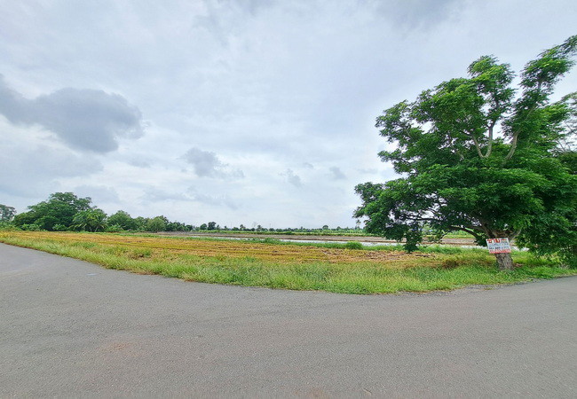ขายที่ดิน-บึงเทพยา-ตำบลบางน้ำเปรี้ยว-อำเภอบางน้ำเปรี้ยว-ฉะเชิงเทรา