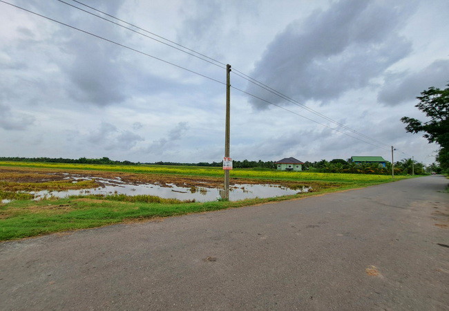 ขายที่ดิน-บึงเทพยา-ตำบลบางน้ำเปรี้ยว-อำเภอบางน้ำเปรี้ยว-ฉะเชิงเทรา