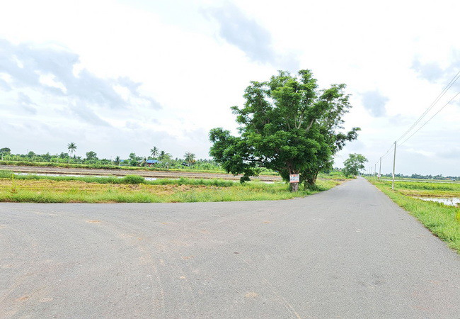 ขายที่ดิน-บึงเทพยา-ตำบลบางน้ำเปรี้ยว-อำเภอบางน้ำเปรี้ยว-ฉะเชิงเทรา