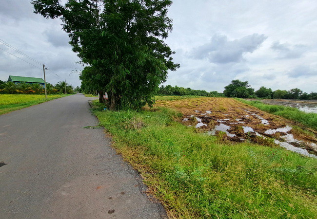 ขายที่ดิน-บึงเทพยา-ตำบลบางน้ำเปรี้ยว-อำเภอบางน้ำเปรี้ยว-ฉะเชิงเทรา