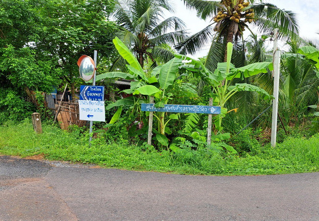 ขายที่ดิน-บึงเทพยา-ตำบลบางน้ำเปรี้ยว-อำเภอบางน้ำเปรี้ยว-ฉะเชิงเทรา