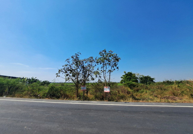 ขายที่ดิน-คลอง-15-ลำลูกกา-ถนนลำลูกกา-ตำบลชุมพล-อำเภอองครักษ์-นครนายก