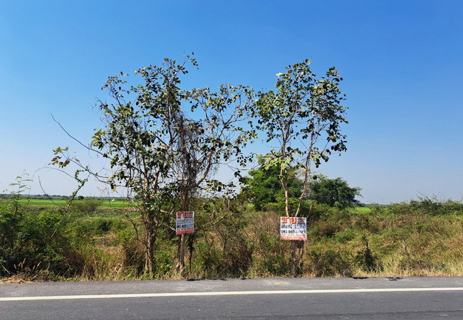 ขายที่ดิน-คลอง-15-ลำลูกกา-ถนนลำลูกกา-ตำบลชุมพล-อำเภอองครักษ์-นครนายก