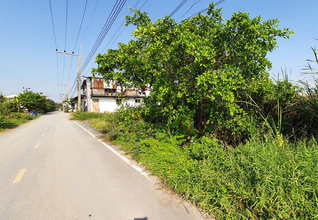 ขายที่ดิน-ซอยร่วมสุข-4-5-ถนนติวานนท์-ตำบลบ้านใหม่-อำเภอเมือง-ปทุมธานี