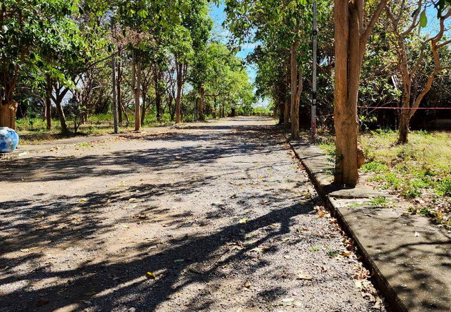 ขายที่ดิน-ในโครงการเจ้าสำราญเลคแอนด์ฮิลล์-ถนนเลียบคลองชลประทานสาย-3-อำเภอเมือง-เพชรบุรี