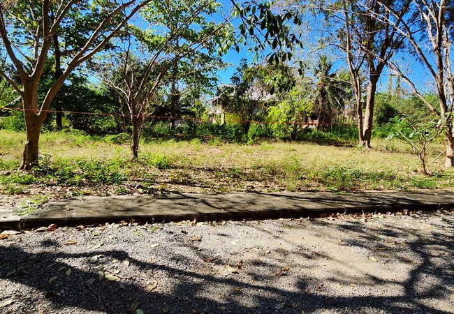 ขายที่ดิน-ในโครงการเจ้าสำราญเลคแอนด์ฮิลล์-ถนนเลียบคลองชลประทานสาย-3-อำเภอเมือง-เพชรบุรี