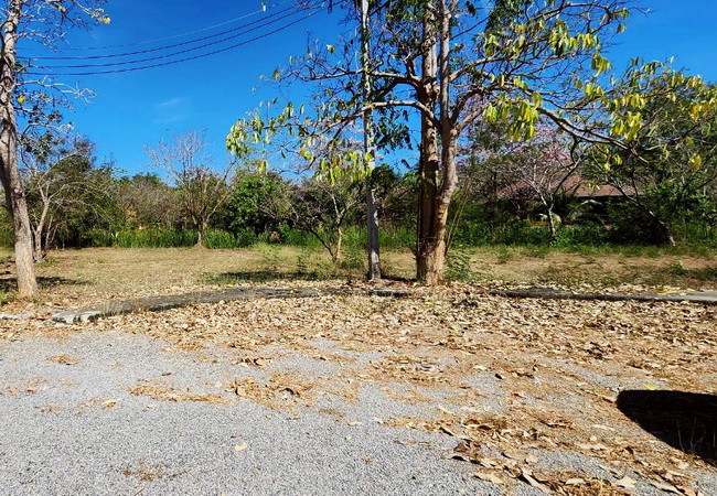 ขายที่ดิน-ในโครงการเจ้าสำราญเลคแอนด์ฮิลล์-ถนนเพชรเกษม-อำเภอเมือง-เพชรบุรี