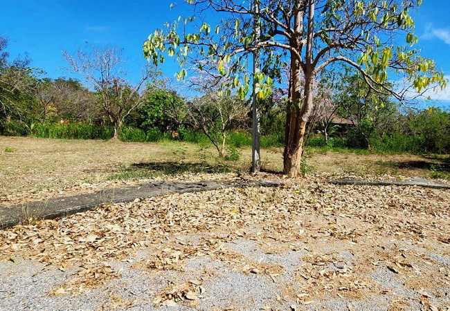 ขายที่ดิน-ในโครงการเจ้าสำราญเลคแอนด์ฮิลล์-ถนนเพชรเกษม-อำเภอเมือง-เพชรบุรี