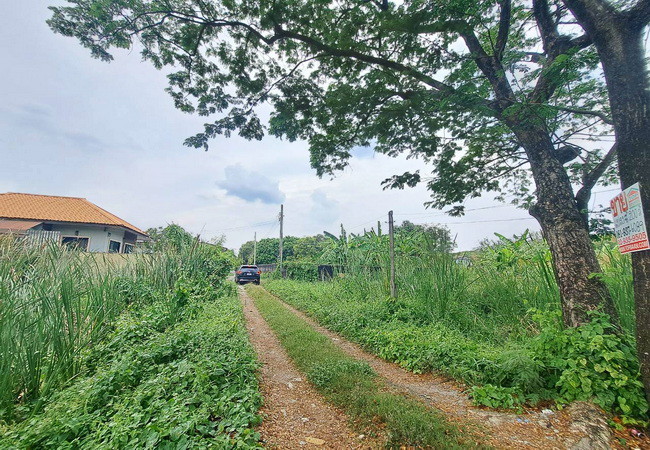 ขายที่ดิน-ตรงข้ามซอยนครลุง-9-ถนนพุทธมณฑลสาย-2-เขตบางแค-กรุงเทพมหานคร