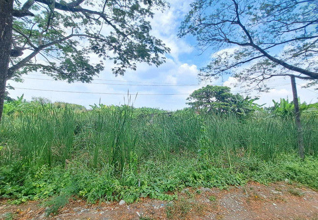 ขายที่ดิน-ตรงข้ามซอยนครลุง-9-ถนนพุทธมณฑลสาย-2-เขตบางแค-กรุงเทพมหานคร