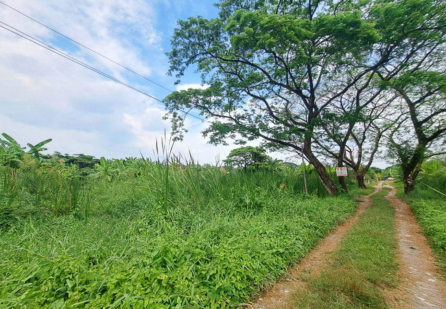 ขายที่ดิน-ตรงข้ามซอยนครลุง-9-ถนนพุทธมณฑลสาย-2-เขตบางแค-กรุงเทพมหานคร