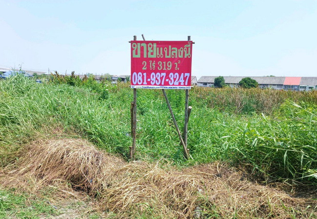 ขายที่ดิน-ซอยเทศบาลบางปู-87-ถนนสุขุมวิท-ตำบลบางปูใหม่-อำเภอเมือง-สมุทรปราการ