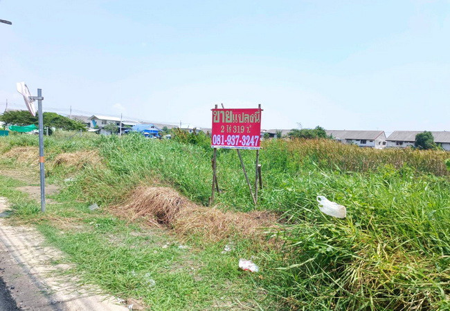 ขายที่ดิน-ซอยเทศบาลบางปู-87-ถนนสุขุมวิท-ตำบลบางปูใหม่-อำเภอเมือง-สมุทรปราการ