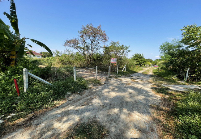 ขายที่ดิน-ตรงข้ามซอยนครลุง-9-ถนนพุทธมณฑลสาย-2-แขวงบางไผ่-เขตบางแค-กรุงเทพมหานคร