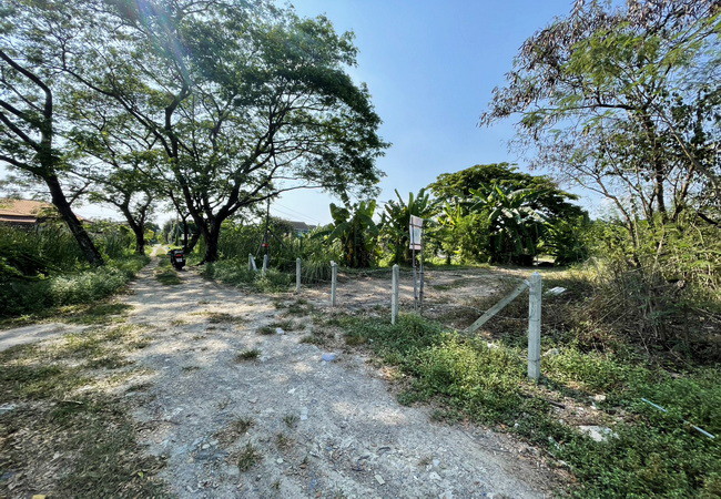 ขายที่ดิน-ตรงข้ามซอยนครลุง-9-ถนนพุทธมณฑลสาย-2-แขวงบางไผ่-เขตบางแค-กรุงเทพมหานคร