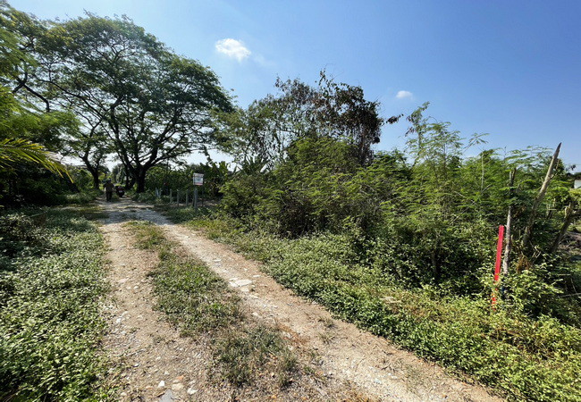 ขายที่ดิน-ตรงข้ามซอยนครลุง-9-ถนนพุทธมณฑลสาย-2-แขวงบางไผ่-เขตบางแค-กรุงเทพมหานคร