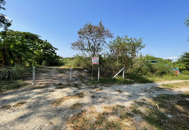 ขายที่ดิน-ตรงข้ามซอยนครลุง-9-ถนนพุทธมณฑลสาย-2-แขวงบางไผ่-เขตบางแค-กรุงเทพมหานคร