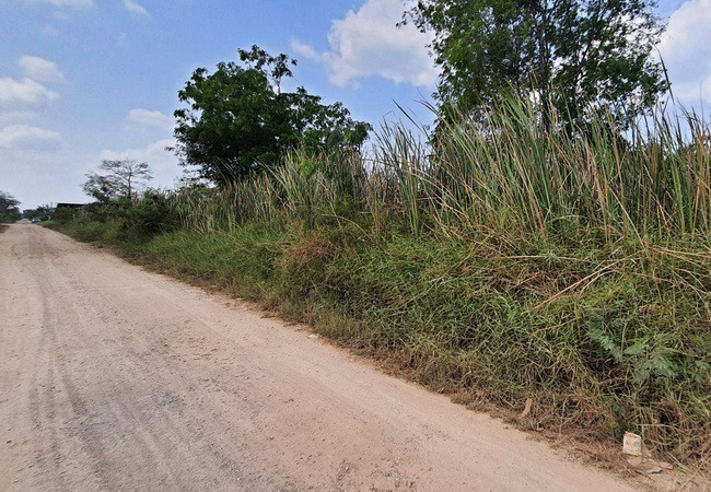 ขายที่ดิน-คลอง-6-ซอยคลองหกตะวันออก-52-ถนนเลียบคลองหก-คลองหลวง-ปทุมธานี