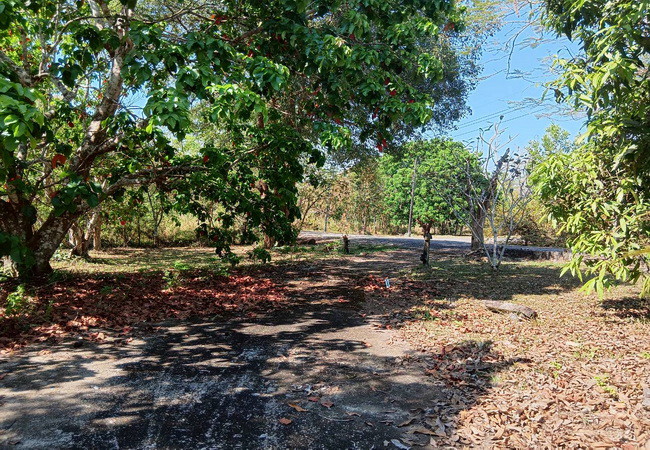 ขายบ้านเดี่ยว-แรบบิซ-ฮิลล์-รีสอร์ท-ซอยเขาวงกต-2-เนื้อที่-611-ตรว-1-ชั้น-2-นอน-2-น้ำ