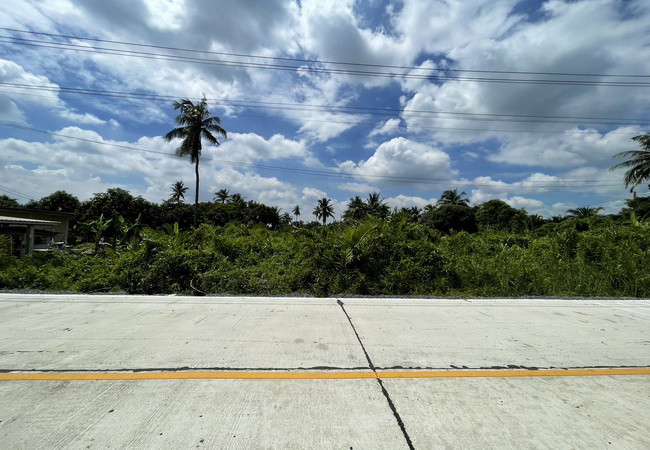 ขายที่ดิน-ตำบลสามพราน-อำเภอสามพราน-นครปฐม-ซอยบ้านหงษ์-1-เนื้อที่-3355-ตรว