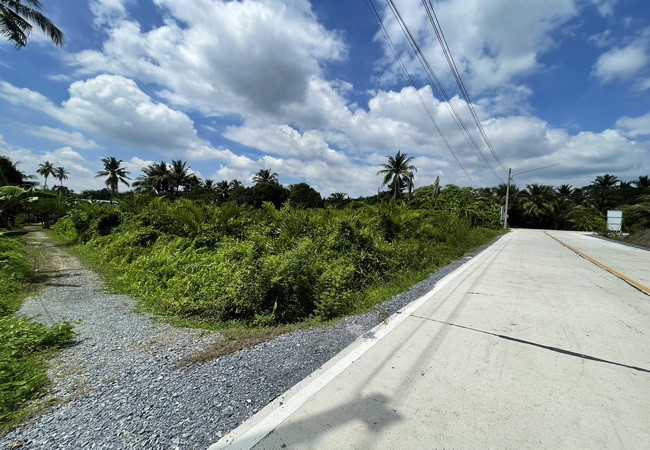 ขายที่ดิน-ตำบลสามพราน-อำเภอสามพราน-นครปฐม-ซอยบ้านหงษ์-1-เนื้อที่-3355-ตรว