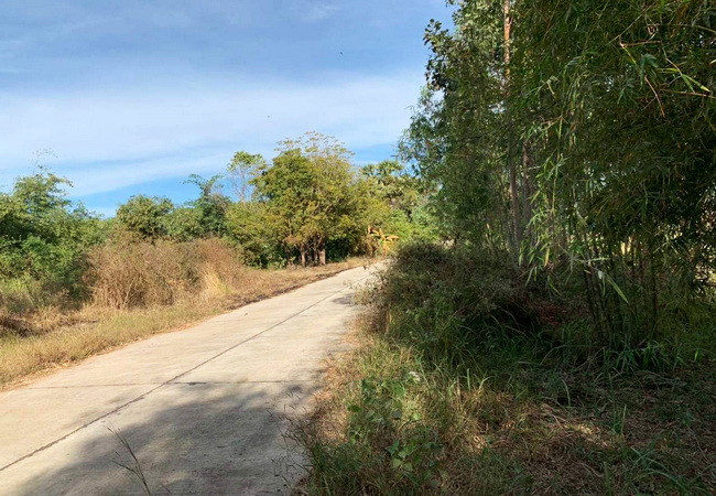 ขายที่ดิน-ตำบลในเมือง-อำเภอพิมาย-นครราชสีมา-ถนน206-เนื้อที่-647-ตรว