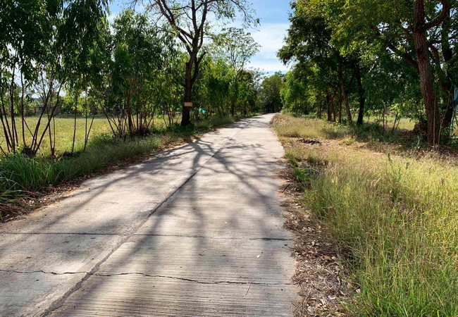 ขายที่ดิน-ตำบลในเมือง-อำเภอพิมาย-นครราชสีมา-ถนน206-เนื้อที่-647-ตรว