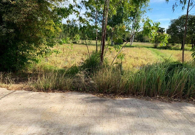 ขายที่ดิน-ตำบลในเมือง-อำเภอพิมาย-นครราชสีมา-ถนน206-เนื้อที่-647-ตรว