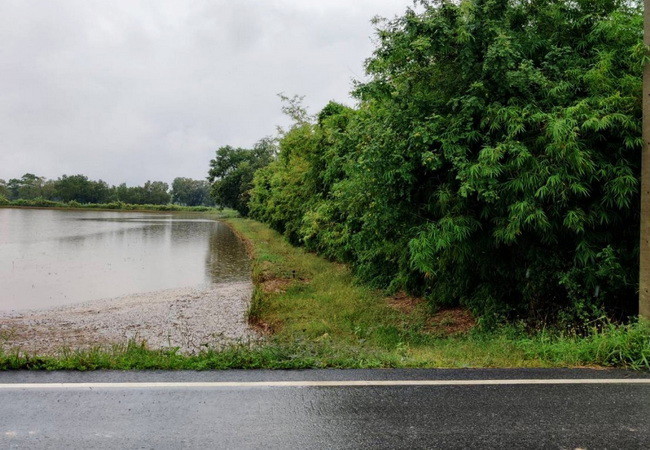 ขายที่ดิน-คลอง-16-ตำบลบึงศาล-อำเภอองครักษ์-นครนายก-เนื้อที่-8-3-0-ไร่