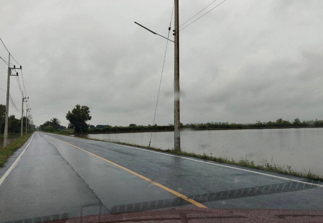 ขายที่ดิน-คลอง-16-ตำบลบึงศาล-อำเภอองครักษ์-นครนายก-เนื้อที่-8-3-0-ไร่