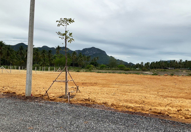 ขายและให้เช่าที่ดิน-สามร้อยยอด-ประจวบคีรีขันธ์-เนื้อที่-350-ตรว