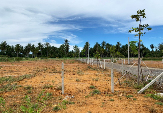 ขายและให้เช่าที่ดิน-สามร้อยยอด-ประจวบคีรีขันธ์-เนื้อที่-350-ตรว