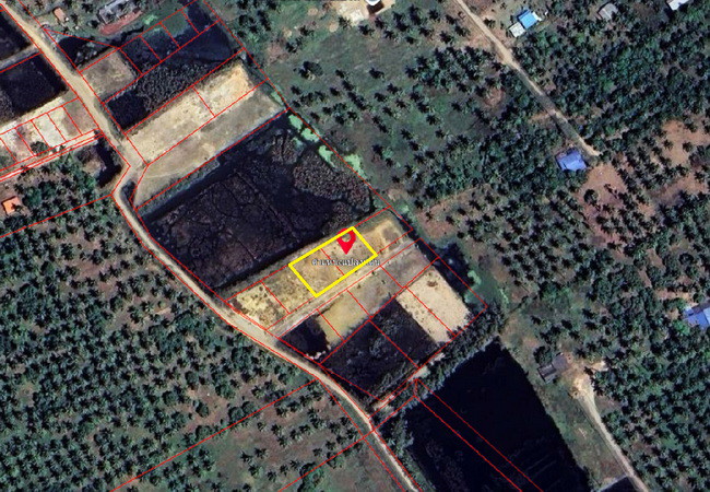 ขายและให้เช่าที่ดิน-สามร้อยยอด-ประจวบคีรีขันธ์-เนื้อที่-350-ตรว