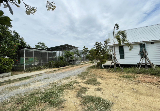 ขายที่ดิน-พร้อมสิ่งปลูกสร้าง-ตำบลบ้านยาง-อำเภอเมือง-นครปฐม-เนื้อที่-3-3-66-ไร่