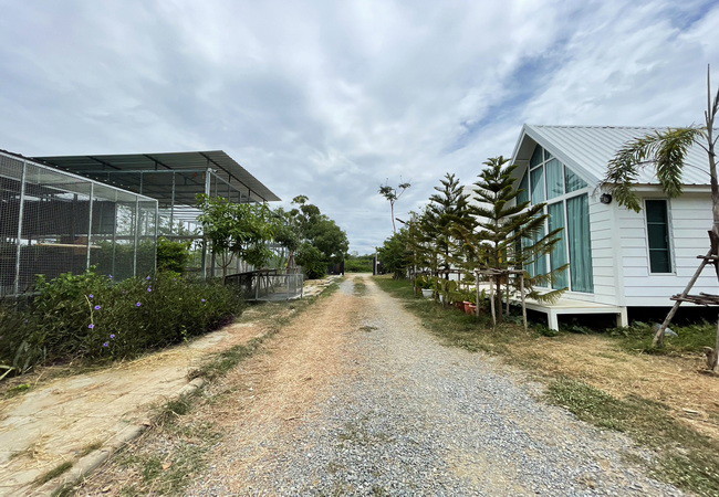 ขายที่ดิน-พร้อมสิ่งปลูกสร้าง-ตำบลบ้านยาง-อำเภอเมือง-นครปฐม-เนื้อที่-3-3-66-ไร่