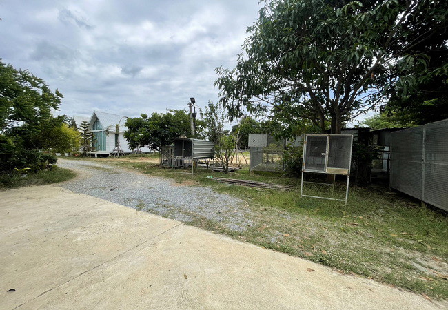 ขายที่ดิน-พร้อมสิ่งปลูกสร้าง-ตำบลบ้านยาง-อำเภอเมือง-นครปฐม-เนื้อที่-3-3-66-ไร่