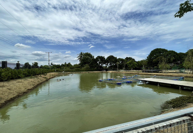 ขายที่ดิน-พร้อมสิ่งปลูกสร้าง-ตำบลบ้านยาง-อำเภอเมือง-นครปฐม-เนื้อที่-3-3-66-ไร่