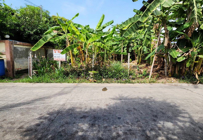 ขายที่ดิน-ซอยเจริญพร-ถนนกําแพงเพชร-6-หลักหก-เมืองปทุมธานี-เนื้อที่-112-ตรว