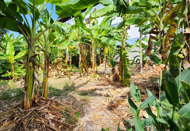 ขายที่ดิน-ซอยเจริญพร-ถนนกําแพงเพชร-6-หลักหก-เมืองปทุมธานี-เนื้อที่-112-ตรว