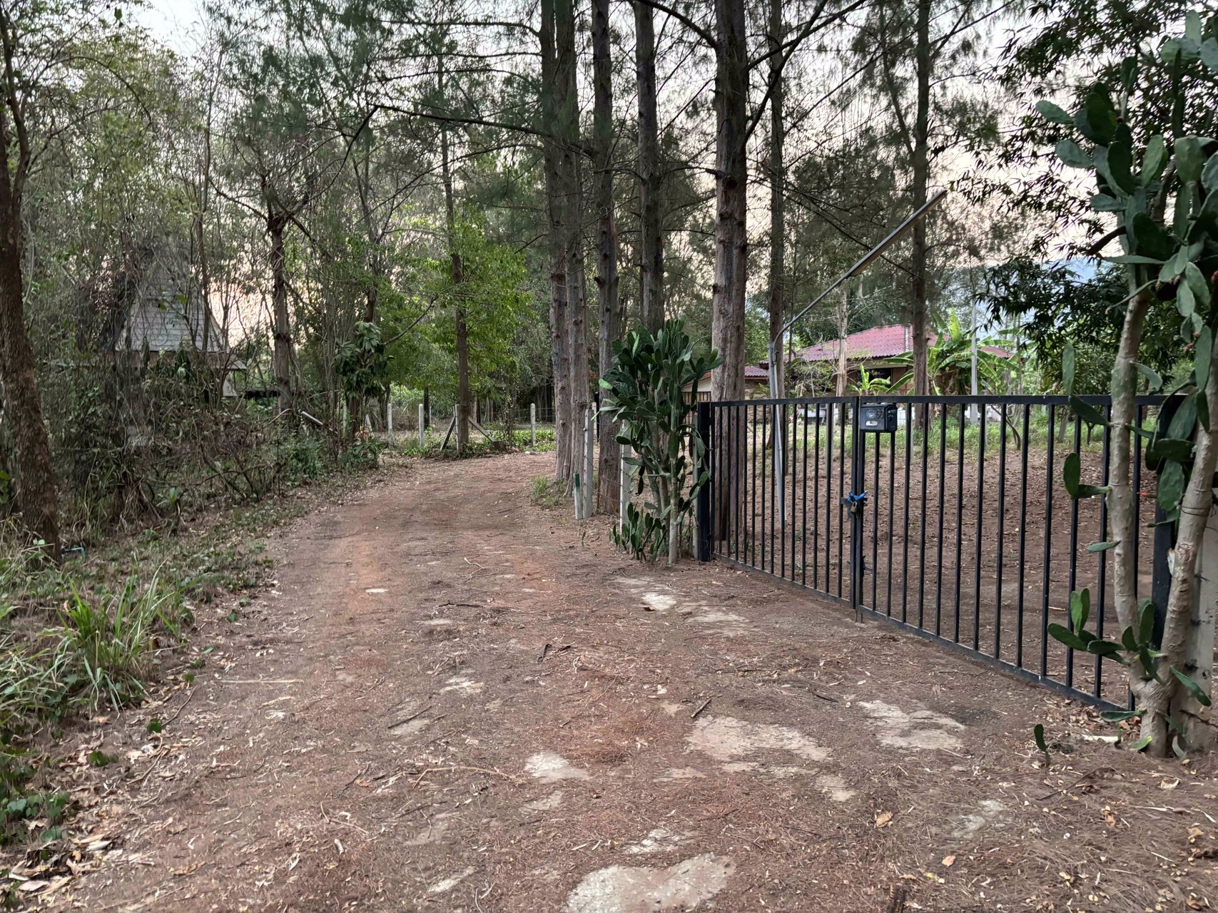 ขายบ้านสวนพร้อมที่ดิน-ใกล้เขื่อนลำตะคอง-บรรยากาศดีเยี่ยม-เหมือนอยู่ต่างประเทศ