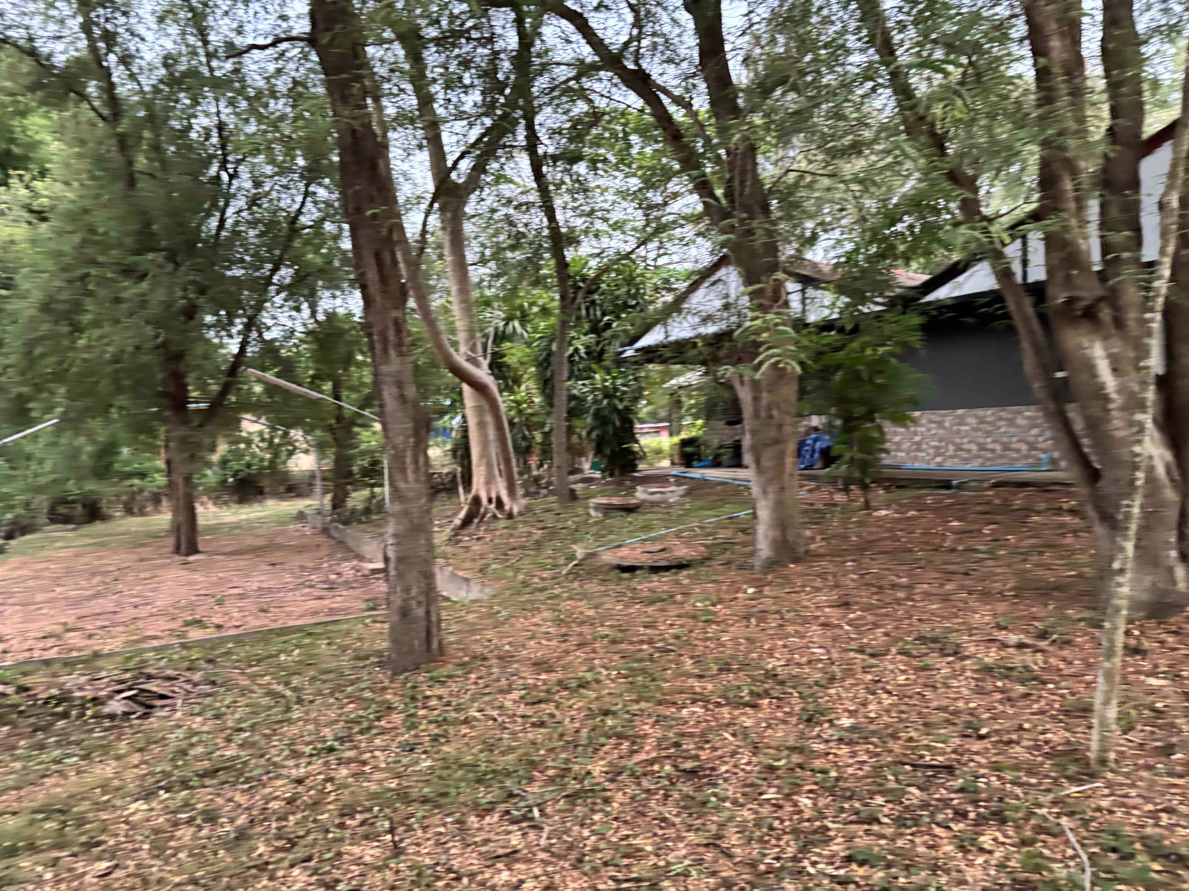 ขายบ้านสวนพร้อมที่ดิน-ใกล้เขื่อนลำตะคอง-บรรยากาศดีเยี่ยม-เหมือนอยู่ต่างประเทศ