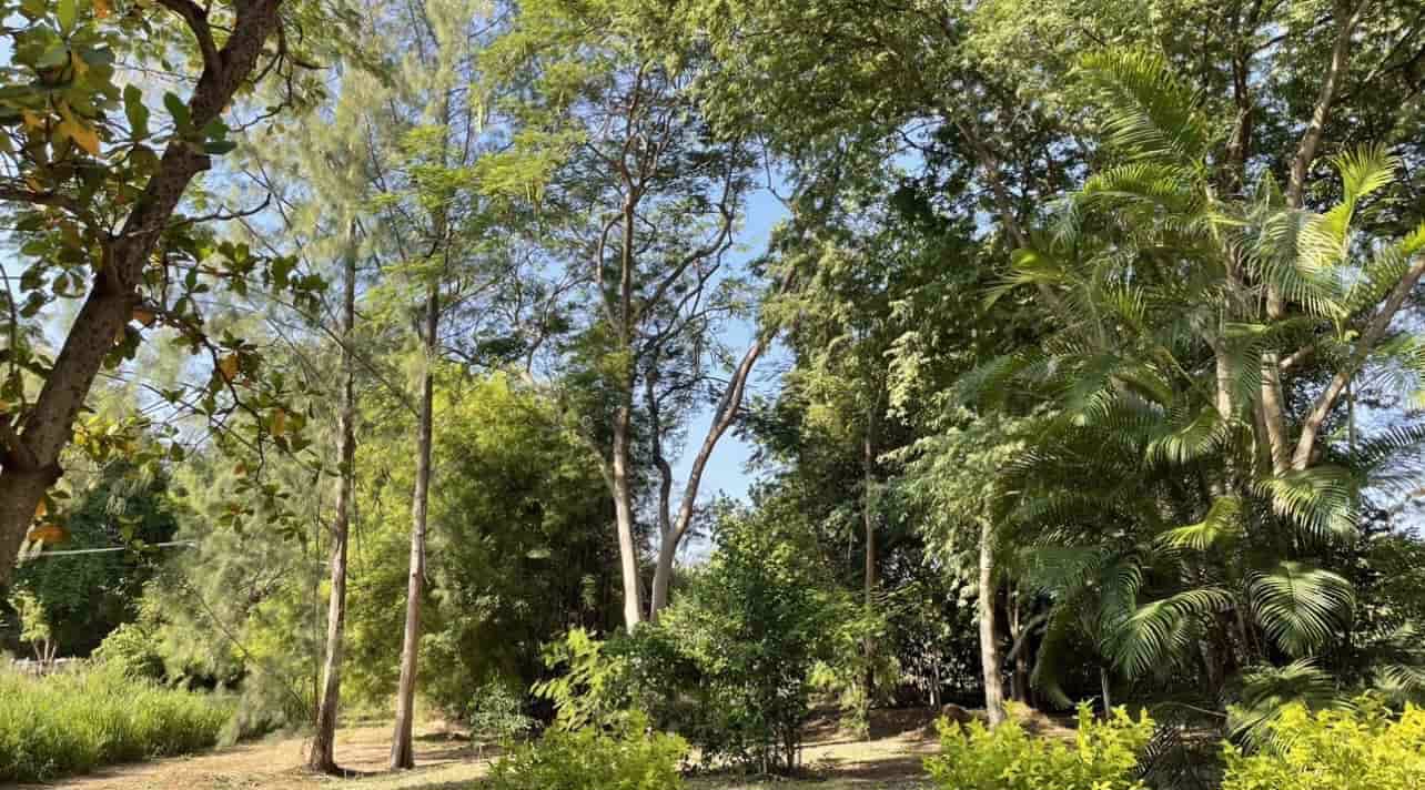 ขายบ้านสวนพร้อมที่ดิน-ใกล้เขื่อนลำตะคอง-บรรยากาศดีเยี่ยม-เหมือนอยู่ต่างประเทศ