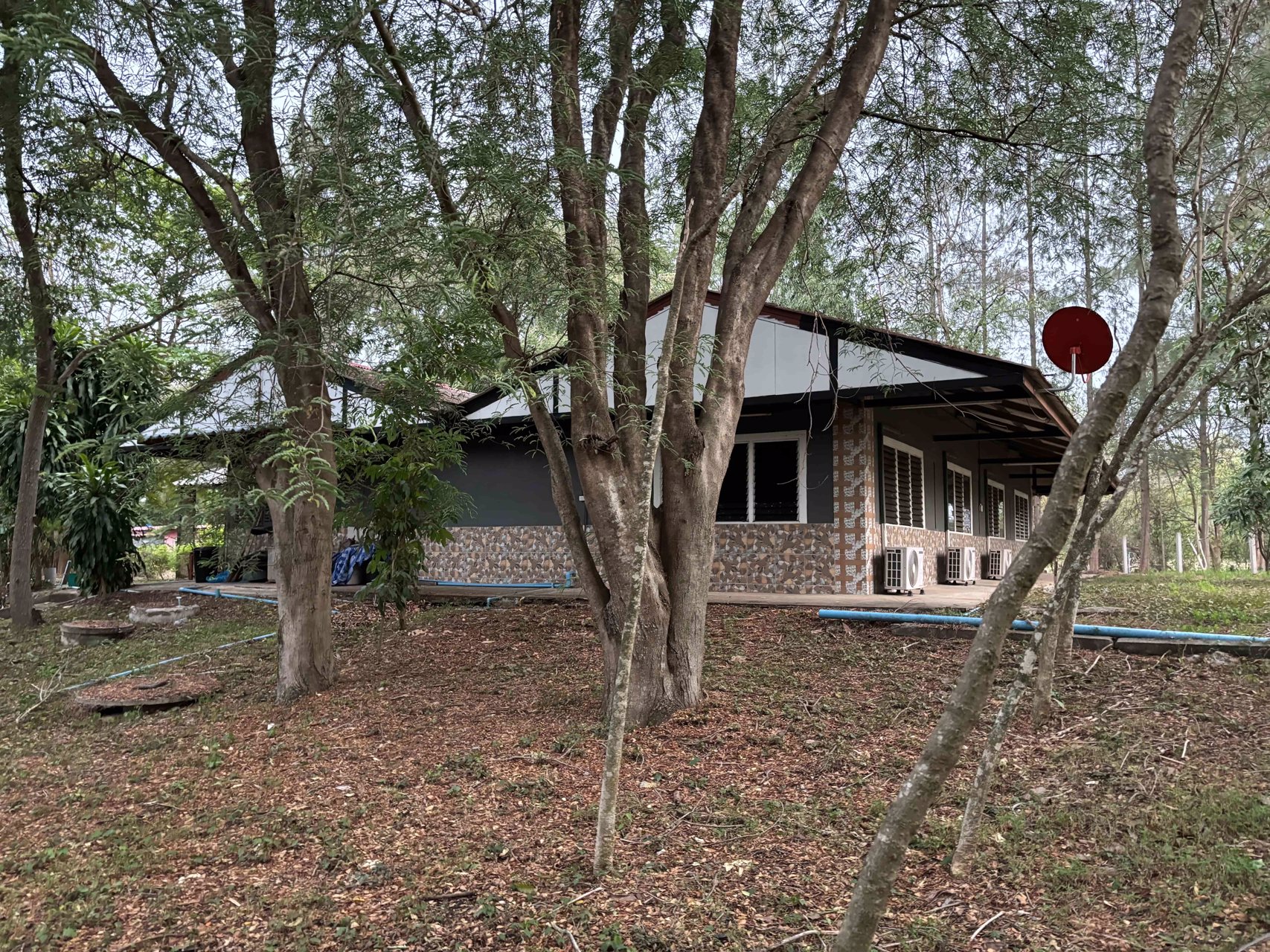 ขายบ้านสวนพร้อมที่ดิน-ใกล้เขื่อนลำตะคอง-บรรยากาศดีเยี่ยม-เหมือนอยู่ต่างประเทศ